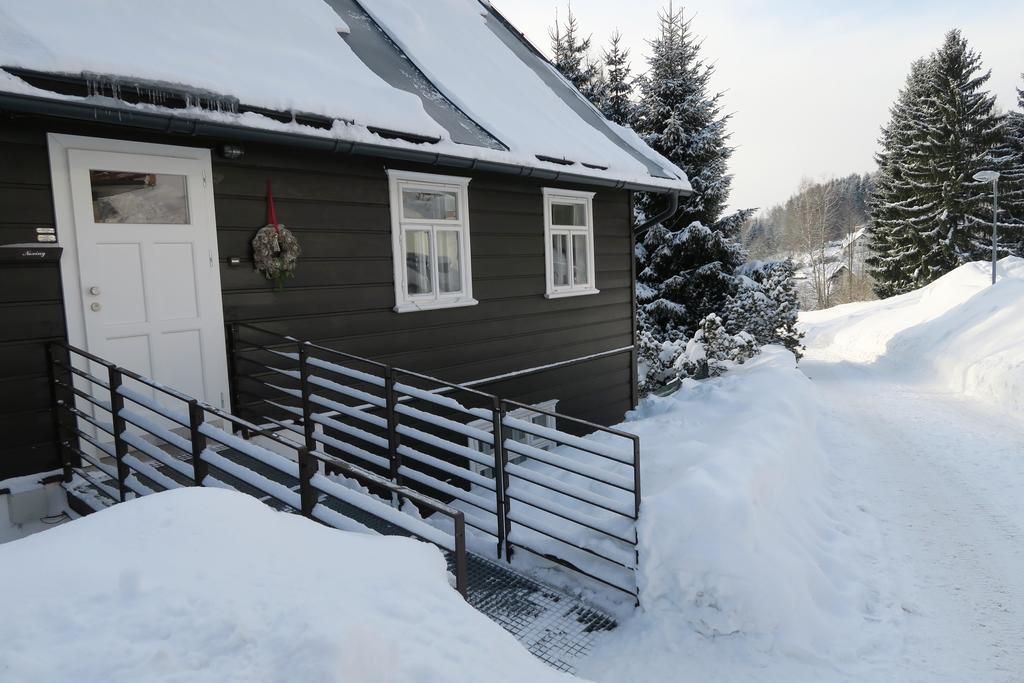 Appartement Horska Chata U Vleku à Rokytnice nad Jizerou Extérieur photo